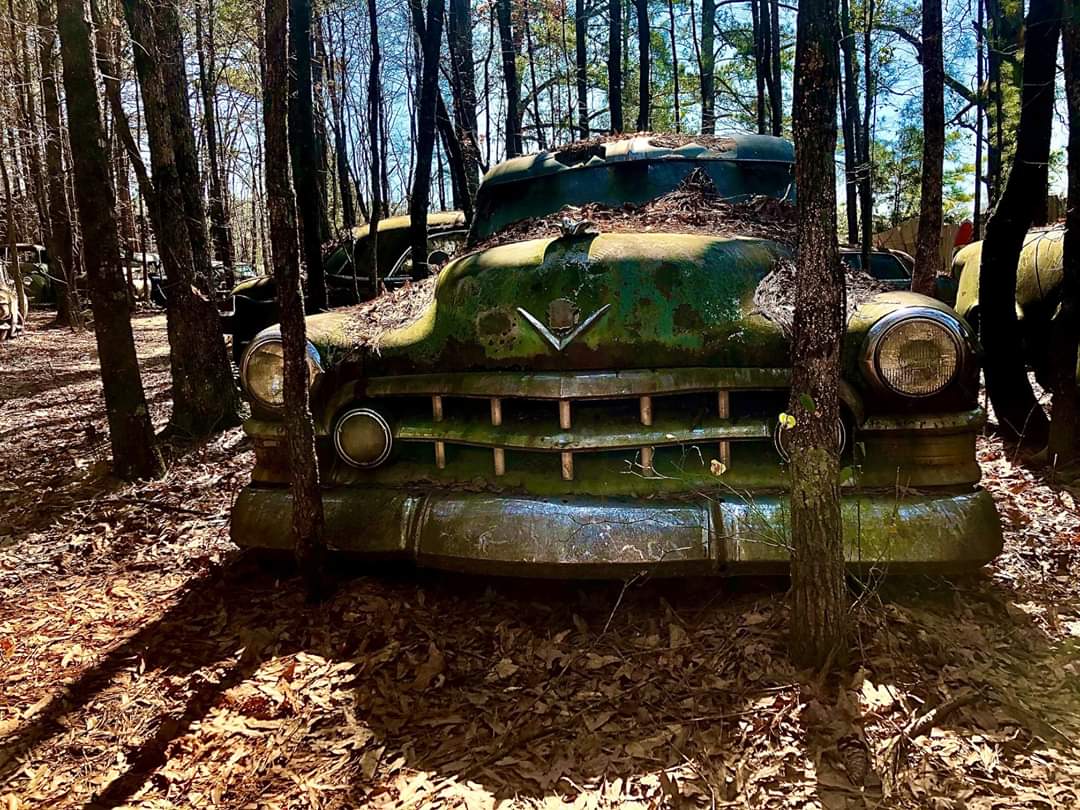 GLENN FLORES  12-Virgin Most Renowned